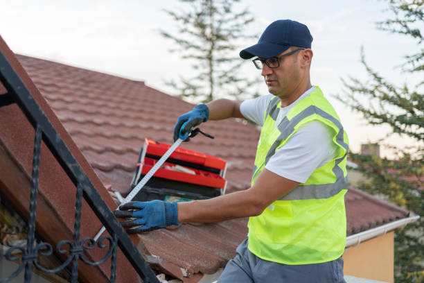 Best Vapor Barrier Installation  in Kula, HI